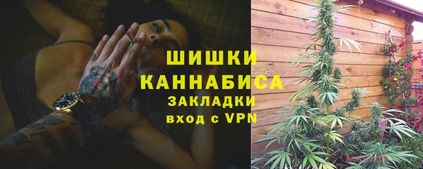 гидра Пересвет