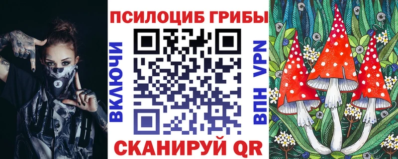 ОМГ ОМГ как войти  Бикин  Галлюциногенные грибы Psilocybe 