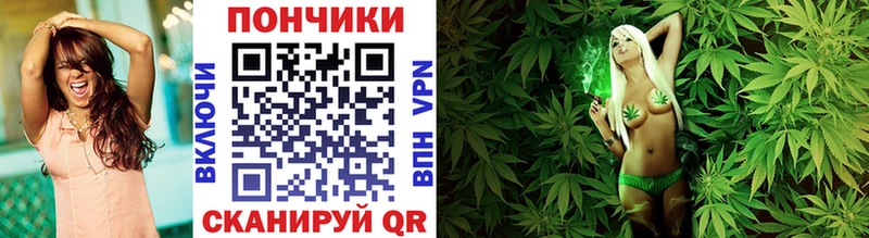 OMG как войти  Бикин  Конопля White Widow 